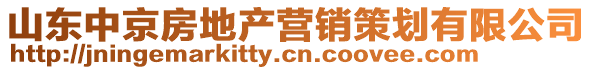 山東中京房地產營銷策劃有限公司