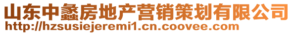 山東中蠡房地產營銷策劃有限公司