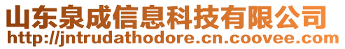山東泉成信息科技有限公司