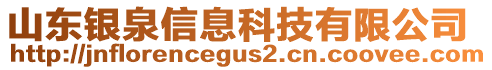 山東銀泉信息科技有限公司