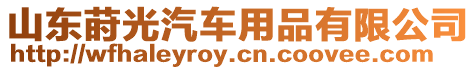 山東蒔光汽車用品有限公司