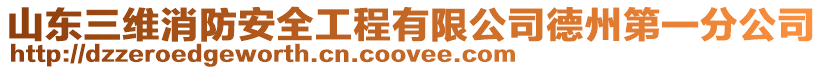 山東三維消防安全工程有限公司德州第一分公司