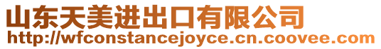 山東天美進出口有限公司