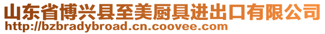 山東省博興縣至美廚具進出口有限公司