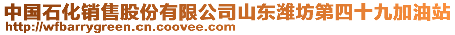 中國石化銷售股份有限公司山東濰坊第四十九加油站