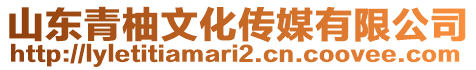 山東青柚文化傳媒有限公司