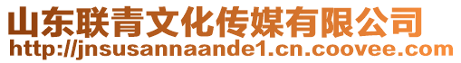 山東聯(lián)青文化傳媒有限公司