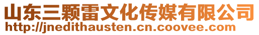 山東三顆雷文化傳媒有限公司