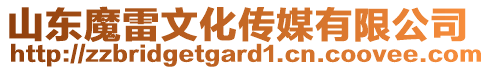 山東魔雷文化傳媒有限公司