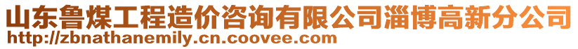 山東魯煤工程造價(jià)咨詢有限公司淄博高新分公司