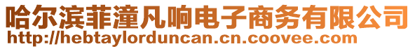 哈爾濱菲潼凡響電子商務有限公司