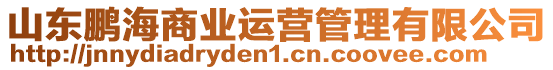 山東鵬海商業(yè)運(yùn)營管理有限公司