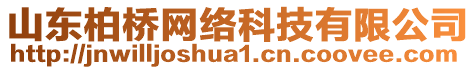 山東柏橋網(wǎng)絡(luò)科技有限公司