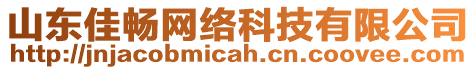 山東佳暢網(wǎng)絡(luò)科技有限公司