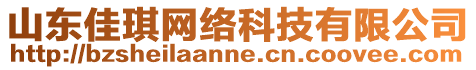 山東佳琪網(wǎng)絡(luò)科技有限公司