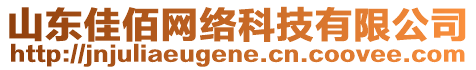 山東佳佰網絡科技有限公司