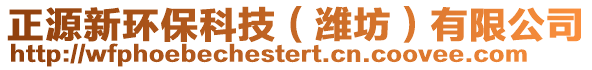 正源新環(huán)保科技（濰坊）有限公司