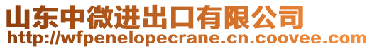 山東中微進(jìn)出口有限公司