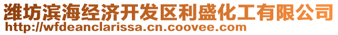 濰坊濱海經(jīng)濟開發(fā)區(qū)利盛化工有限公司