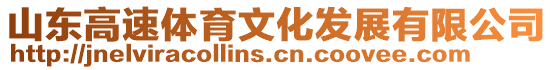 山東高速體育文化發(fā)展有限公司