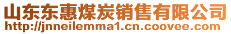 山東東惠煤炭銷售有限公司