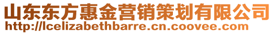 山東東方惠金營銷策劃有限公司