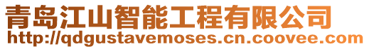 青島江山智能工程有限公司