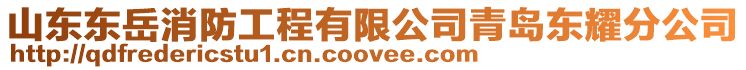 山東東岳消防工程有限公司青島東耀分公司