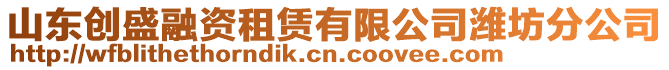 山東創(chuàng)盛融資租賃有限公司濰坊分公司