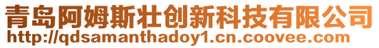 青島阿姆斯壯創新科技有限公司