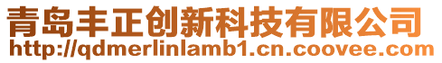 青島豐正創新科技有限公司
