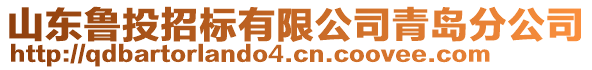山東魯投招標有限公司青島分公司