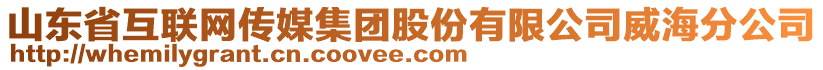 山東省互聯(lián)網(wǎng)傳媒集團(tuán)股份有限公司威海分公司