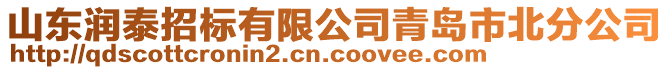 山東潤泰招標有限公司青島市北分公司