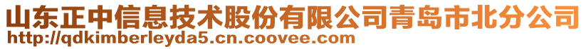 山東正中信息技術股份有限公司青島市北分公司