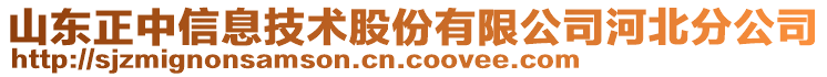 山東正中信息技術股份有限公司河北分公司