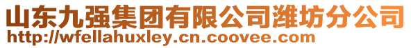 山東九強(qiáng)集團(tuán)有限公司濰坊分公司