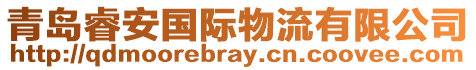 青岛睿安国际物流有限公司