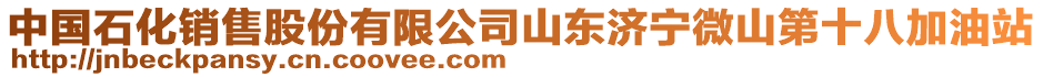 中國石化銷售股份有限公司山東濟(jì)寧微山第十八加油站