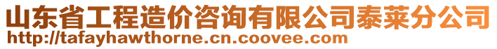 山東省工程造價(jià)咨詢有限公司泰萊分公司