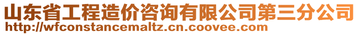 山東省工程造價咨詢有限公司第三分公司