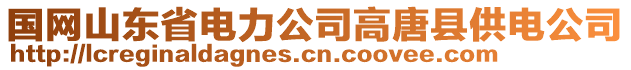 國(guó)網(wǎng)山東省電力公司高唐縣供電公司