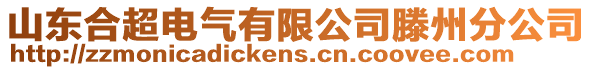 山東合超電氣有限公司滕州分公司