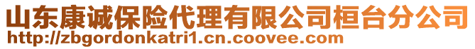 山東康誠保險代理有限公司桓臺分公司