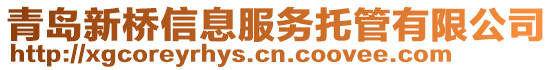 青島新橋信息服務(wù)托管有限公司