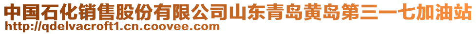 中国石化销售股份有限公司山东青岛黄岛第三一七加油站