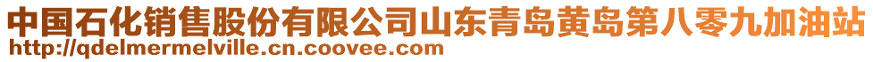 中國石化銷售股份有限公司山東青島黃島第八零九加油站