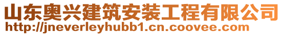 山東奧興建筑安裝工程有限公司