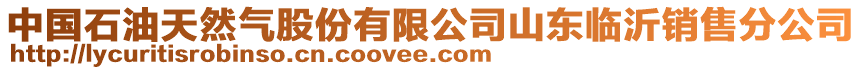 中國石油天然氣股份有限公司山東臨沂銷售分公司