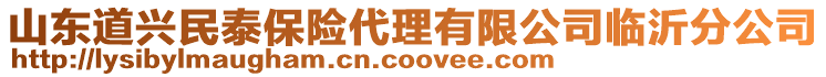 山東道興民泰保險代理有限公司臨沂分公司